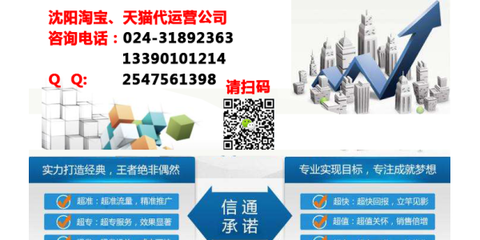 沈阳电商代运营 一站式解决方案助力企业电子商务腾飞
