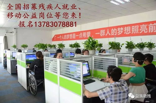 数字赋能，共创未来 电子商务为残疾人群体带来的新机遇与信息咨询服务支持