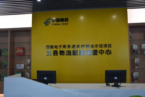 陇南市电商发展局局长刘粉梅一行考核文县电子商务工作并开展业务指导